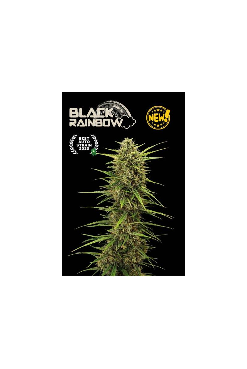 Black Rainbow Auto, Фасовка: 1